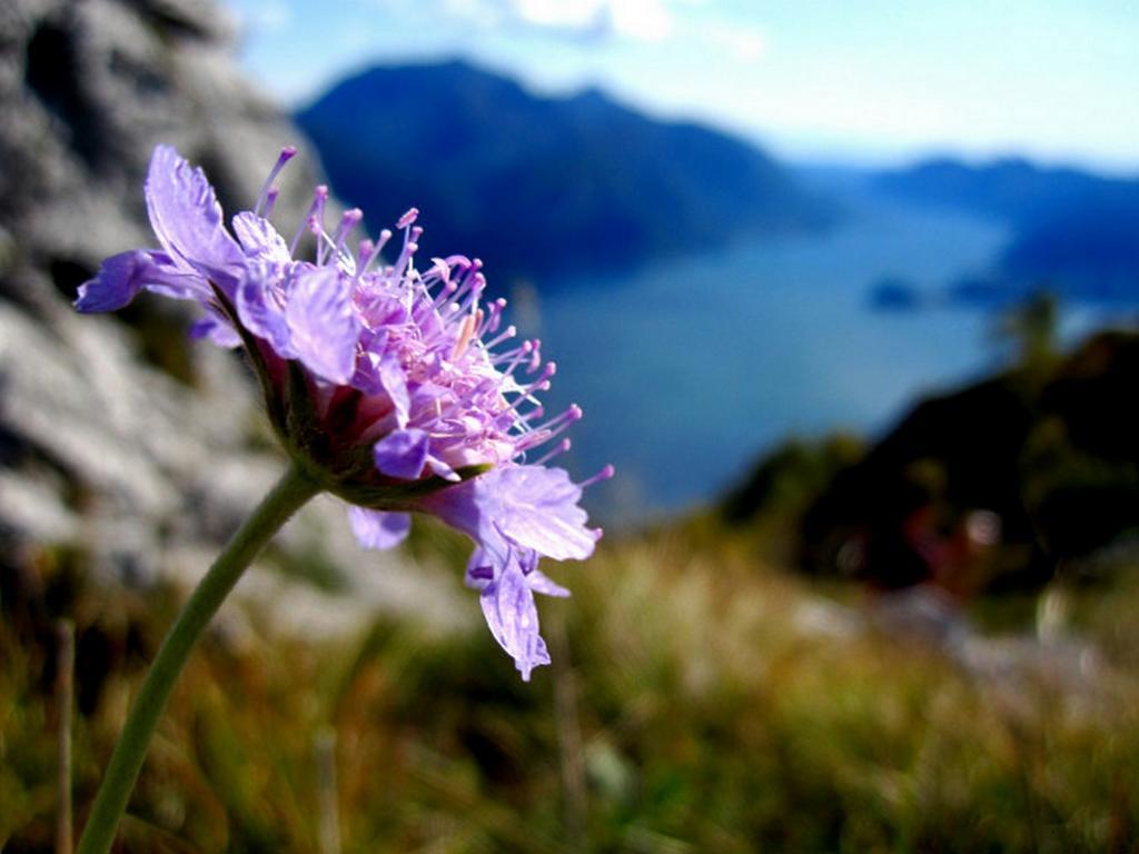 Menaggio Fronte Lago Exterior foto